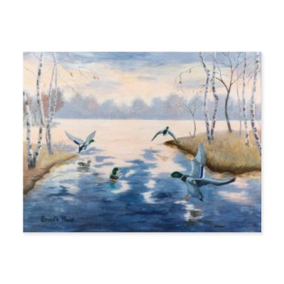 Autumns Mallards Postcard by bmthour