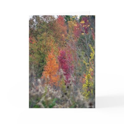 Autumn's Palette by hopefulone