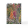 Autumn's Palette