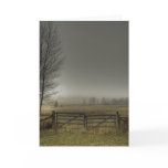 Autumns Pasture cards