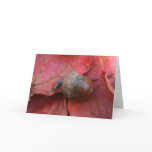 AUTUMNS PROMISE GREETING CARD