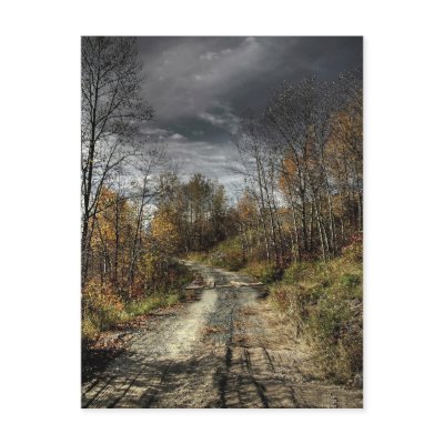 Autumns Road Postcards by Digitalwonder