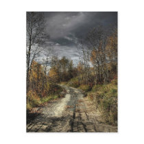 Autumns Road Postcards