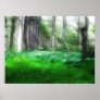 Avalon Forest Dreamscape Print
