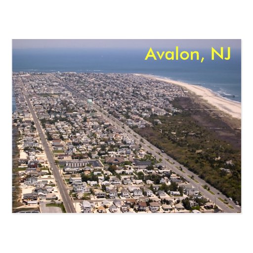 Avalon, NJ Postcard