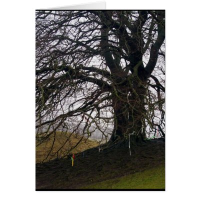 Avebury Beech Card by clatsopduck