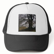 Avebury Beech Trucker Hats