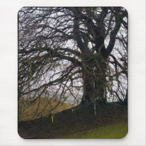Avebury Beech Mousepad