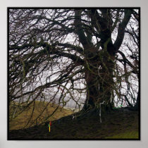 Avebury Beech Print
