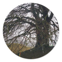 Avebury Beech Sticker