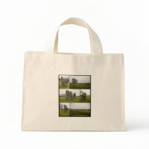 Avebury Collage Canvas Bags