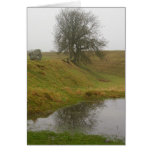 Avebury Tree cards