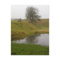 Avebury Tree Postcard