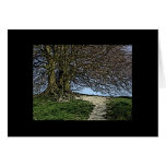 Avebury, Wiltshire, England. Tree and path. Custom cards