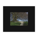 Avebury, Wiltshire, England. Tree and path. Full Colour Flyer