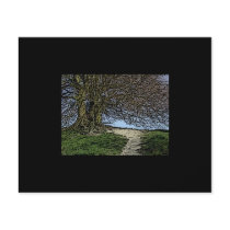Avebury, Wiltshire, England. Tree and path. Full Colour Flyer