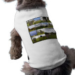 Avebury Year Pet Tee Shirt