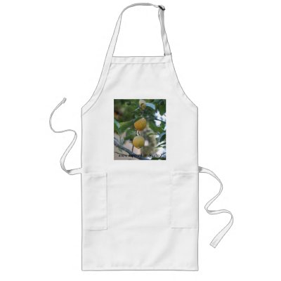 avere sapore il limoncello! aprons by pattirm1