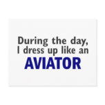 AVIATOR During The Day
