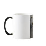 Aviator mugs