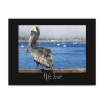 Avila Beach Post Card