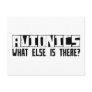 Avionics What Else Is There? Postcards