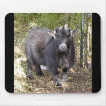 Avitar the Pygmy goat mouse pad