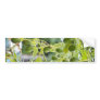 Avocado green bumper stickers
