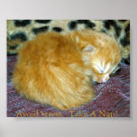 Avoid Stress.  Take a Nap Posters