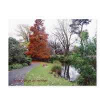 Avon River in winter Postcard