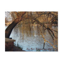 Avon River, Stratford-upon-Avon Postcards