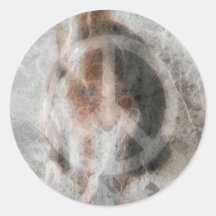 AVP Stickers *20 Pack*