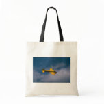 Avro Anson, Genneseo air show Bag
