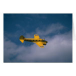 Avro Anson, Genneseo air show Greeting Cards
