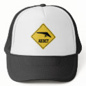 AW Hang Gliding hats