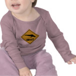 AW Hang Gliding Tee Shirts