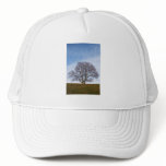 awaiting seasons mesh hat