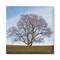 awaiting seasons