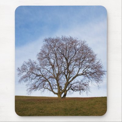 awaiting seasons by blacqbook