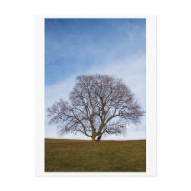 awaiting seasons