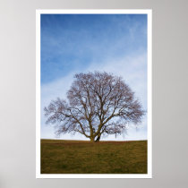 awaiting seasons