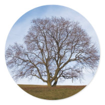 awaiting seasons