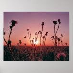 Awakening in the field posters