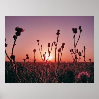 Awakening in the field poster by patrickrp