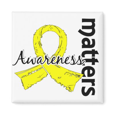 Awareness Matters 7 Bladder Cancer Magnet by awarenessgifts