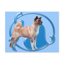 Awesome Akita's