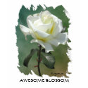 Awesome Blossom White Rose t-shirts