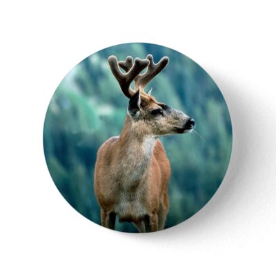 Awesome Elk Pins by alternateworlds
