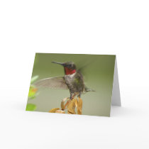 Awesome Hummingbird Greeting Cards