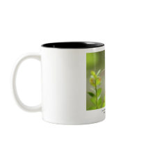 Awesome hummingbird mug